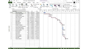 Filtering and Formatting in Microsoft Project