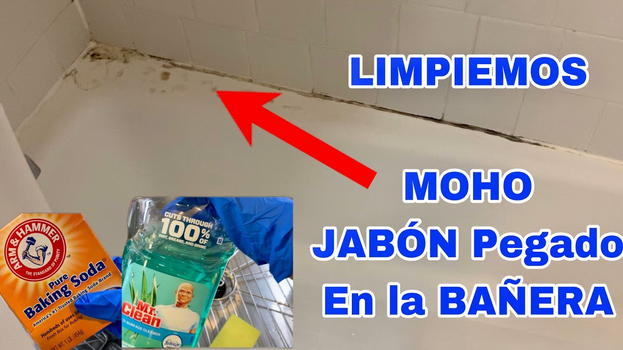 Cómo elegir el mejor limpiador de moho para el baño - Casacochecurro