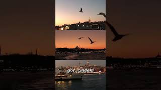 Acılar Denizi #kesfet #siir #öneçıkar #şair #umıtyasaroguzcan