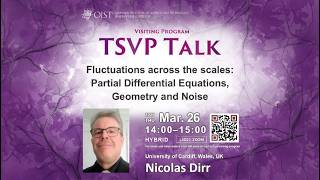 Nicolas Dirr: Fluctuations Across the Scales (TSVP Talk at OIST)