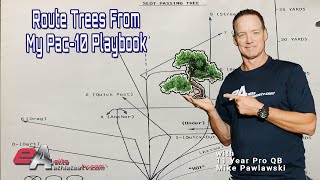 What Is A Route Tree And How Do You Build Plays From It??
