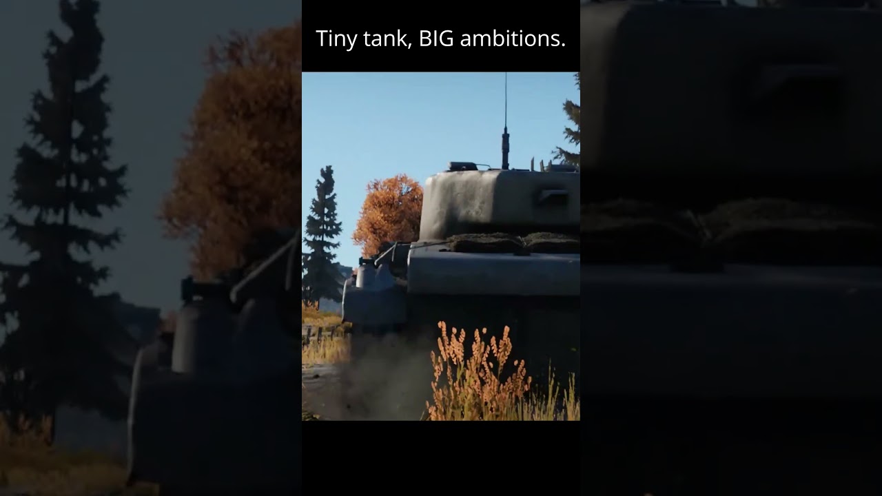 Tiny Tank, Huge Vibes