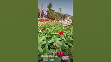 Dulich fglamping suối đá, bình thuận cả nhà ơi 🥰🥰🥰