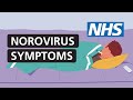 What is norovirus Diarrhoea and vomiting bug  NHS