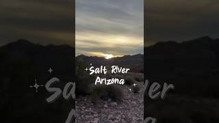 Secret spot at the Salt River 🏜️✨