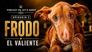 El Podcast de Let´s Adopt #2 - FRODO