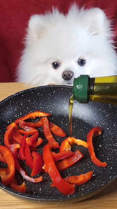 I Make a Gourmet Meal for My Dog - ASMR FOOD