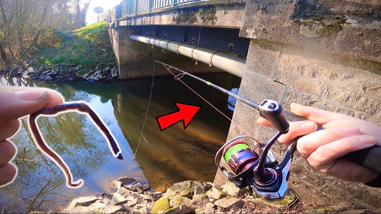 Cette rivière est trop poissonneuse, pêche au vers dans la rivière de