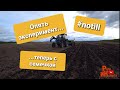 Посев подсолнечника зерновой сеялкой ещё и в стерню!