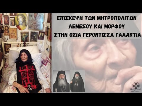 H Επίσκεψη των