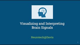 Module 1: Visualizing and Interpreting Brain Signals