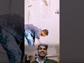 मालिक का घाटा लगवा दिया🤔 #youtubeshorts