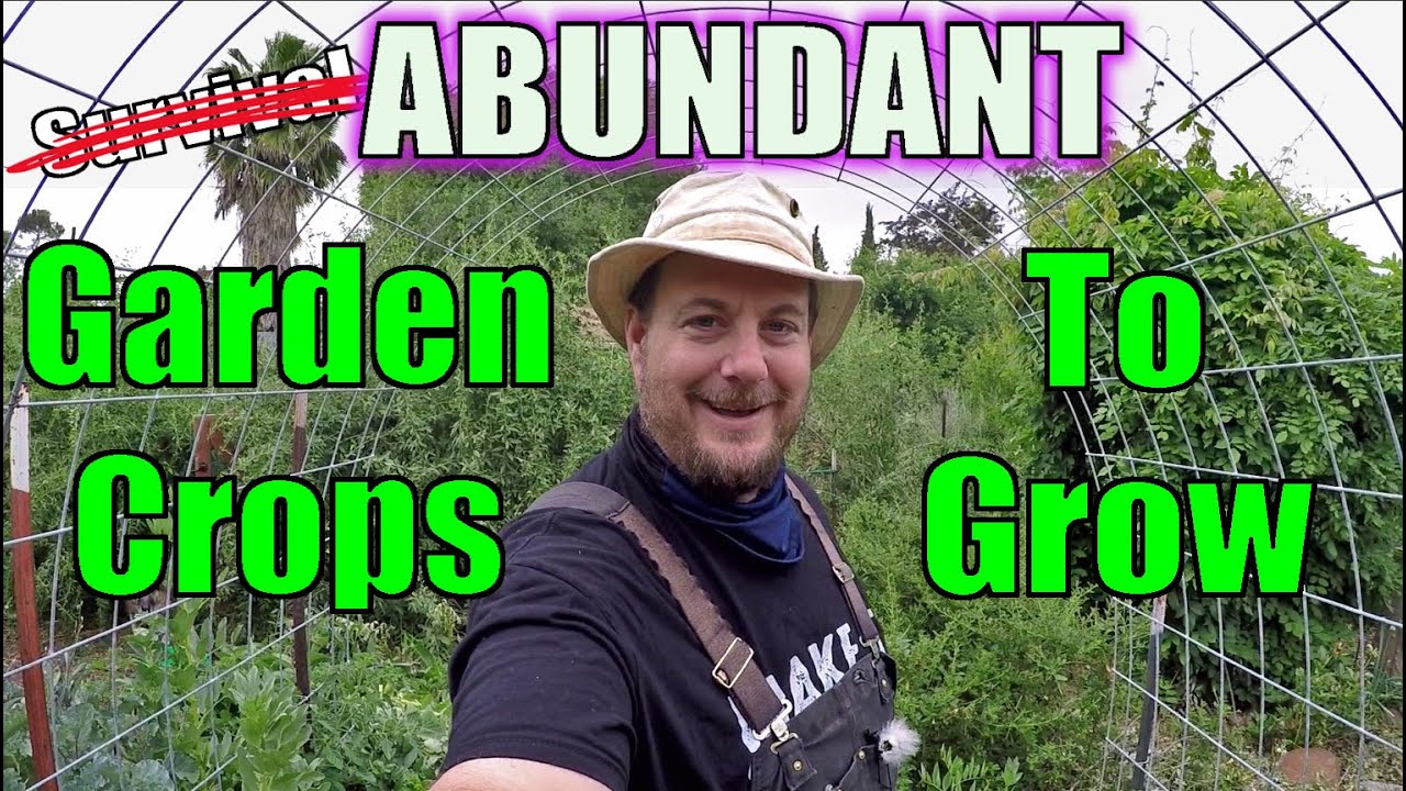 Amazingly Abundant Crops To Grow In Your Garden!