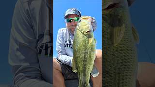 4th July Weekend Bassin Report 🇺🇸🎆