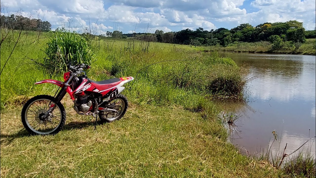 Com medo da Onça ( scared of the jaguar )