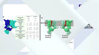 Analysis of EccD3, ESX3 secretion... - Ana Laura Granados-Tristán - GenCompBio - Poster - ISMB 2022