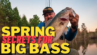 NOW Is The TIME To Throw THIS BAIT || Secrets To Catch BIG Spring BASS