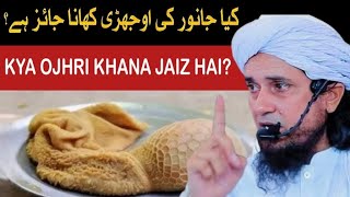 Kya Ojhri Khana Jaiz Hai? Mufti TariqMasood | Tariq Masood Speaks