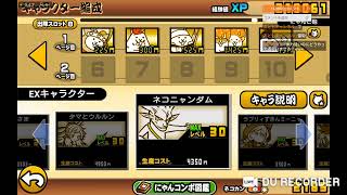 体調良くなったからにゃんこ配信