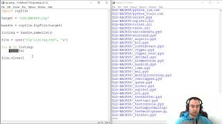 How To List All Files in ZIP Archive Without Decompression - Python
