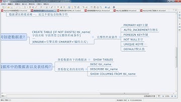 测试数据类型 8 8