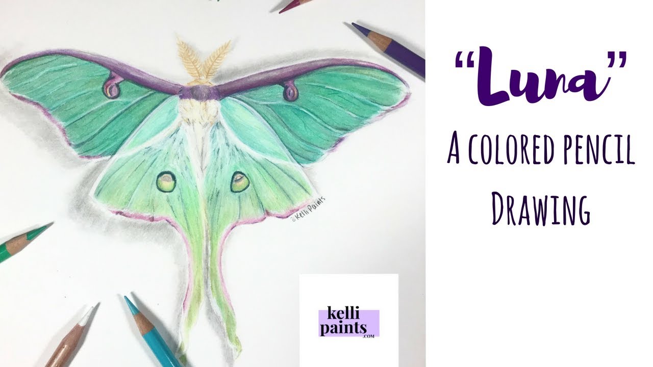 "LUNA" | A COLORED PENCIL speed drawing - YouTube