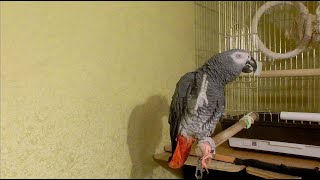 видео: Сегодня ДР Жана = 7 лет! Минифрагментики утра этого дня... картинка: Сегодня ДР Жана = 7 лет! Минифрагментики утра этого дня...