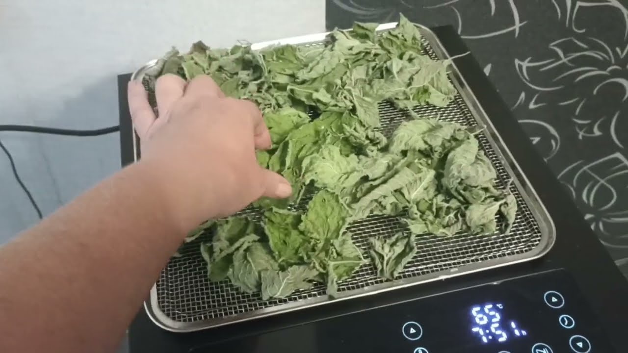 Мнение о дегидраторе Libhof FDA-10, смеси  приправ для супов и мяса. #дегидратор, #LibhofFDA-10.