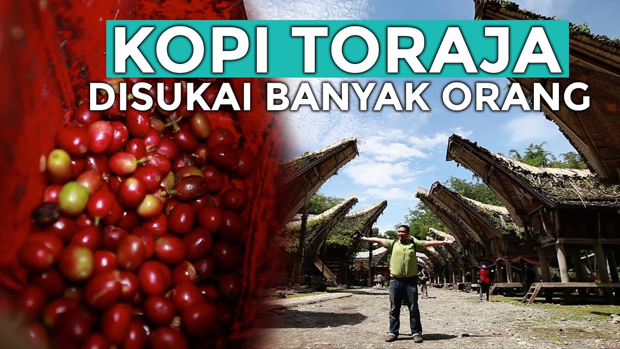 Kenikmatan Kopi Toraja yang Disukai Banyak Orang