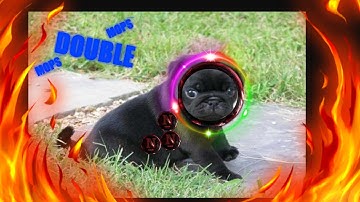 | GOTA.IO | *SAMESIZE* POPSPLITS, DOUBLESPLITS AND MORE...!!!! ★ WIN/WIN 3 ★