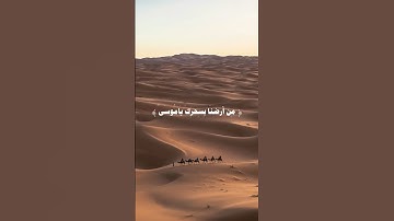 اكتب شيء تؤجر عليه 💛 | سورة طه 56-58 القارئ محمد أيوب | quran tilawat surah taha ayat 56-58
