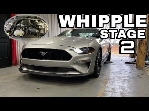19 Mustang GT