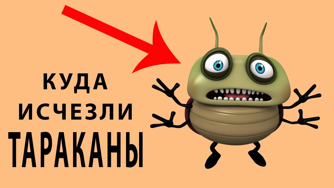 КУДА ИСЧЕЗЛИ ТАРАКАНЫ - YouTube