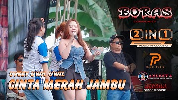 CINTA MERAH JAMBU ~ UVEEY UWIL UWIL ~ TWO IN ONE MUSIC LIVE PEMUDA BORAS