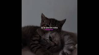 Ps I Love You Paul Partohap