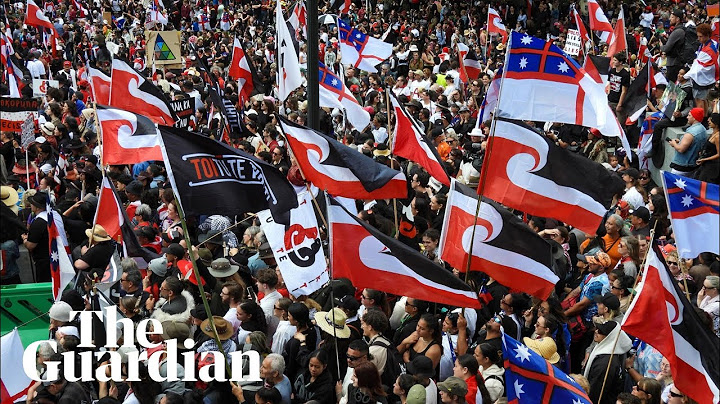 Thousands march to New Zealand's parliament in protest of treaty bill