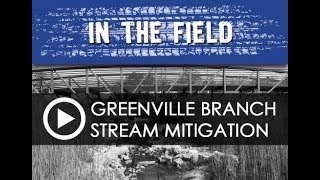 IN THE FIELD Greenville Branch Stream Mitigation Project