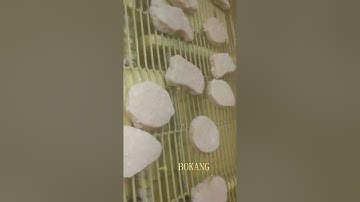 Chicken nuggets processing line