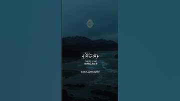 القارئ طارق محمد