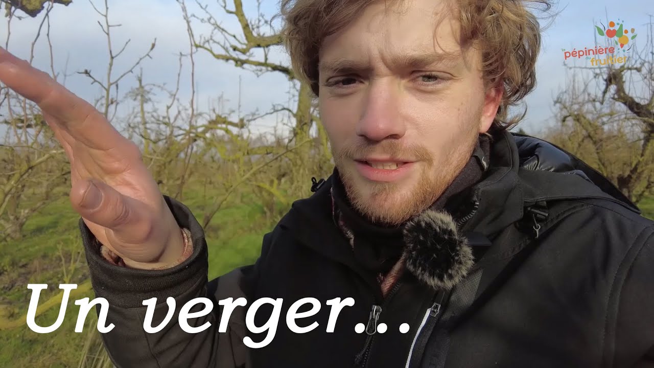 Nous nous agrandissons : visite commentée