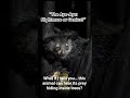 This Creepy Primate Hunts Using SOUND… Not Sight 😳🌑 | The Aye-Aye Myster-