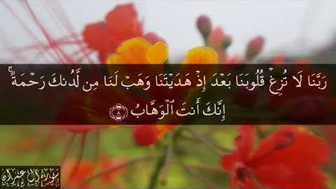 ربنا لا تزغ قلوبنا - سورة آل عمران آية 8