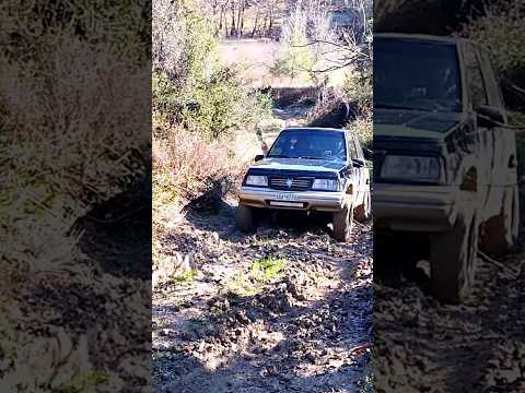 Suzuki Vitara with