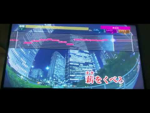 Vinyl 歌ってみた　カラオケ