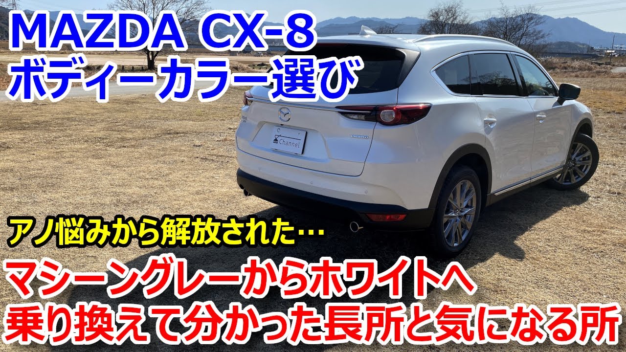 What I learned after switching to a new CX-8 body color] From