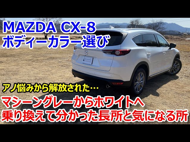 What I learned after switching to a new CX-8 body color] From