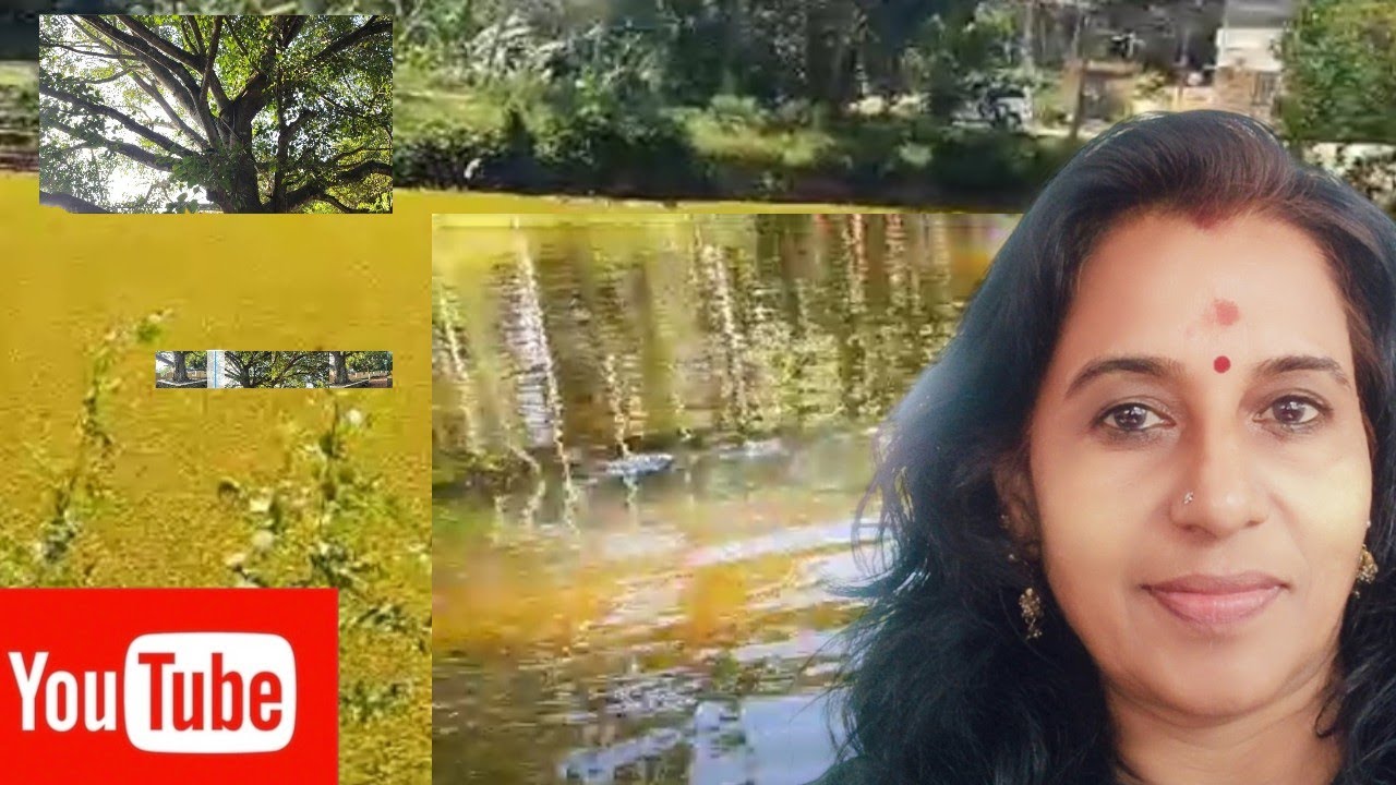 Vishnu's കുളത്തൂർ Vlog| Vijilekshmi trivandrum ❤️❤️😄