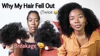 My Hair Fell Out.. Learn from my Mistakes + How to GROW Hair LONG after a setback | Hair Journey