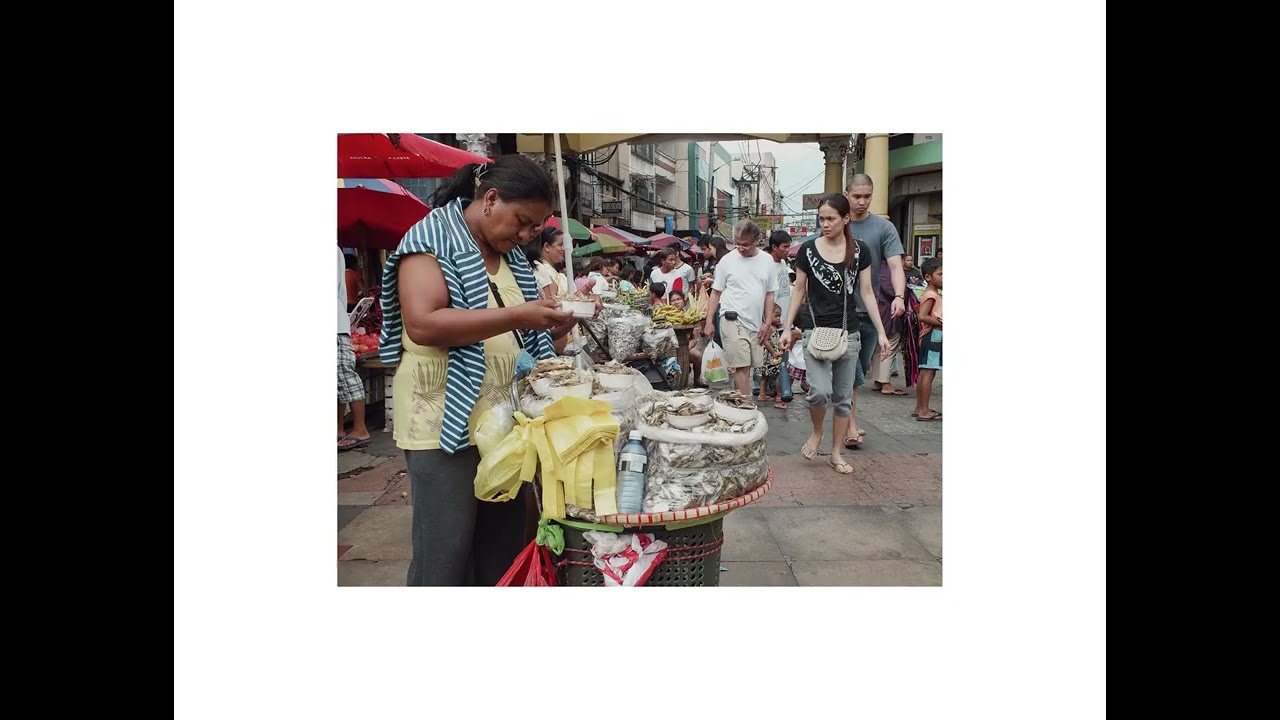 Color Series | Earlier Works: Journey in Vibrance