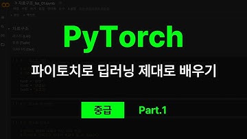 PyTorch(파이토치)로 딥러닝 제대로 배우기 (중급) Part.1